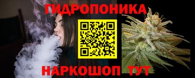 молекула духа Бердск