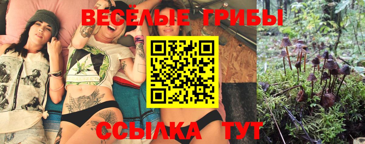 Псилоцибиновые грибы Psilocybine cubensis  Вход с VPN  Благодарный 