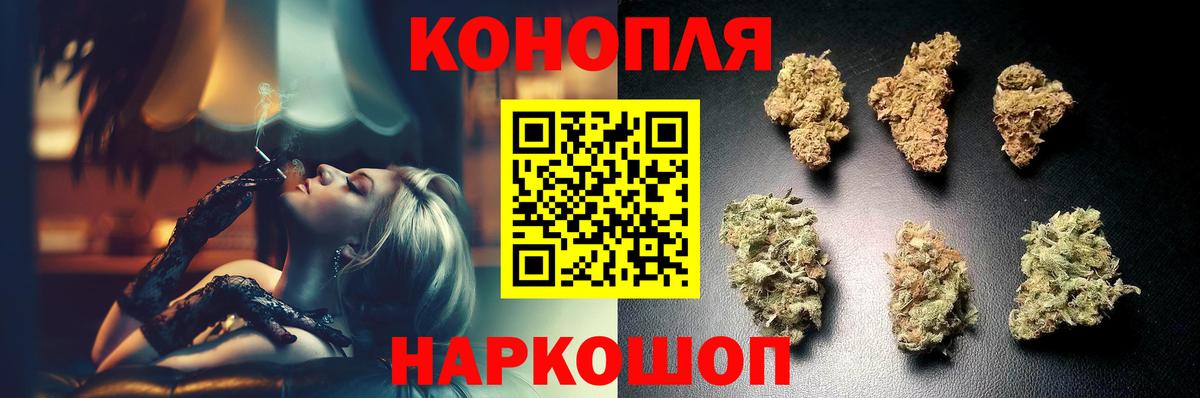 Конопля планчик Благодарный